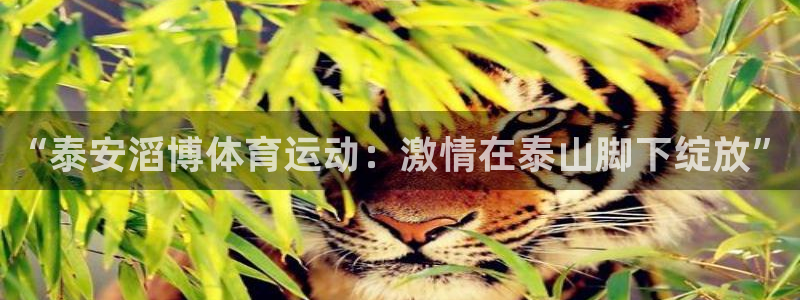 意昂体育官网：“泰安滔博体育运动：激情在泰山脚下绽放”