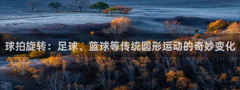 哈希娱乐体育在线注册：球拍旋转：足球、篮球等传统圆形运动的奇妙变化