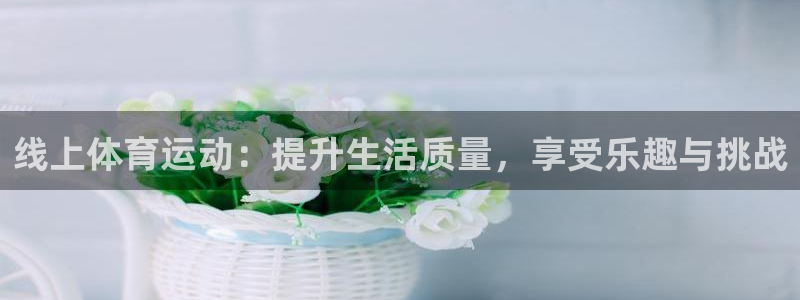 哈希娱乐体育：线上体育运动：提升生活质量，享受乐趣与挑战