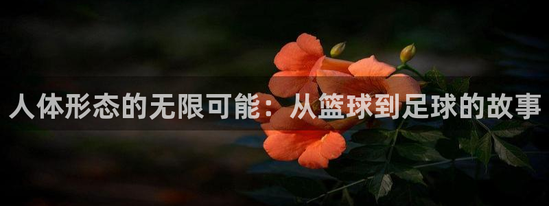 哈希娱乐平台主管：人体形态的无限可能：从篮球到足球的故事