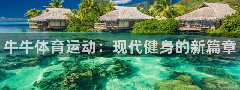 哈希娱乐官网：牛牛体育运动：现代健身的新篇章