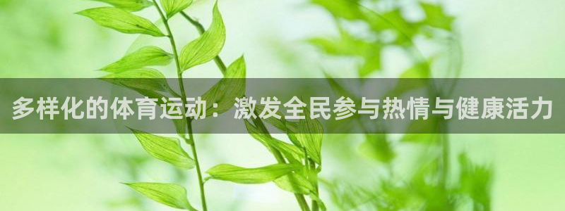 哈希娱乐2体育：多样化的体育运动：激发全民参与热情与健康活力