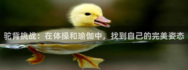 意昂体育官网：驼背挑战：在体操和瑜伽中，找到自己的完美姿态