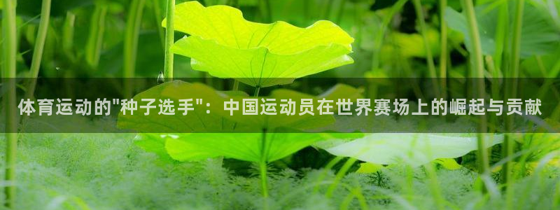 意昂5平台：体育运动的\