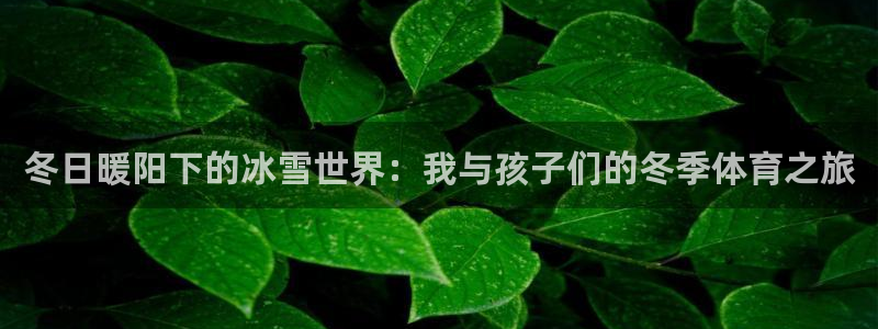 哈希娱乐体育官网登录：冬日暖阳下的冰雪世界：我与孩子们的冬季体育之旅