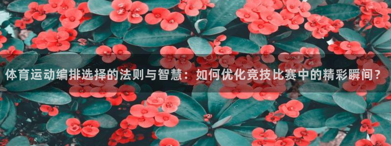 哈希娱乐体育平台开号链接：体育运动编排选择的法则与智慧：如何优化竞技比赛中的精彩瞬间？