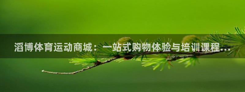 哈希娱乐3代理：滔博体育运动商城：一站式购物体验与培训课程...