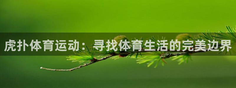 哈希娱乐体育热门赛事有哪些：虎扑体育运动：寻找体育生活的完美边界