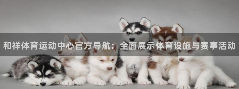意昂注册：和祥体育运动中心官方导航：全面展示体育设施与赛事活动