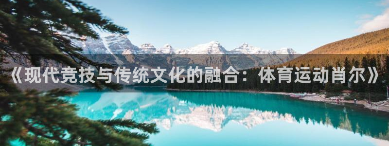 哈希娱乐体育凯捷平台代理：《现代竞技与传统文化的融合：体育运动肖尔》