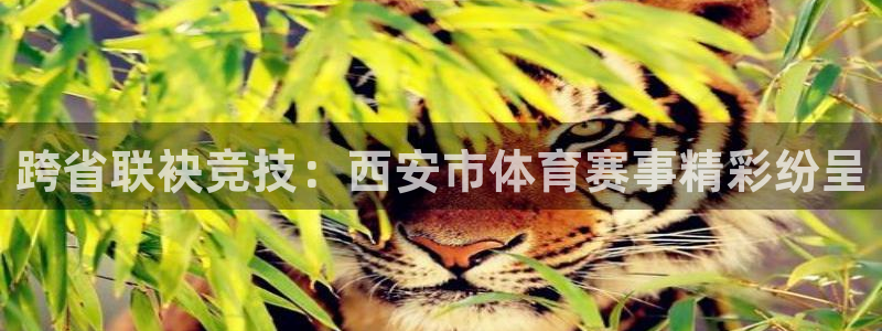 哈希娱乐平台注册入口：跨省联袂竞技：西安市体育赛事精彩纷呈