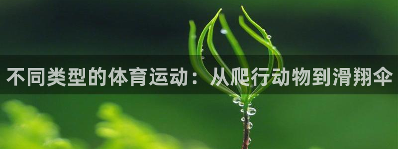 杭州意昂科技有限公司：不同类型的体育运动：从爬行动物到滑翔伞