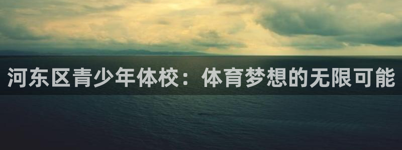 哈希娱乐：河东区青少年体校：体育梦想的无限可能