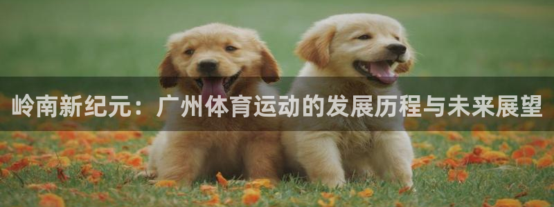 哈希娱乐体育老板是谁：岭南新纪元：广州体育运动的发展历程与未来展望