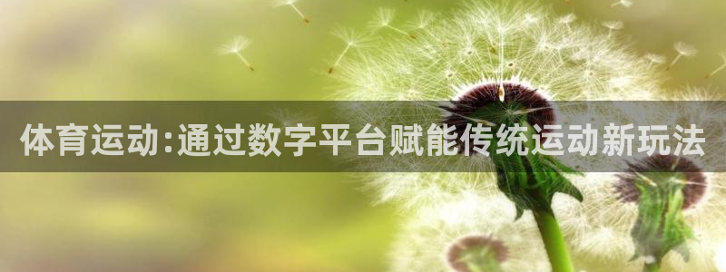意昂3官网：体育运动:通过数字平台赋能传统运动新玩法