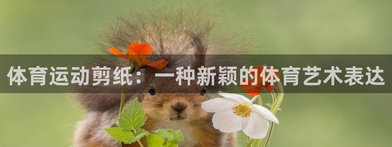 哈希娱乐4：体育运动剪纸：一种新颖的体育艺术表达