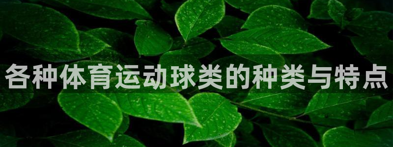 意昂4开户：各种体育运动球类的种类与特点