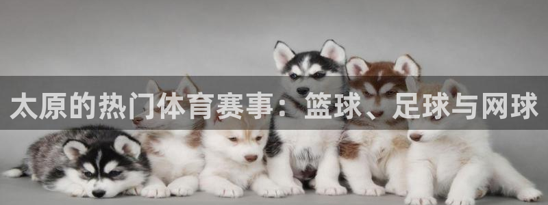 哈希娱乐体育3在线注册：太原的热门体育赛事：篮球、足球与网球