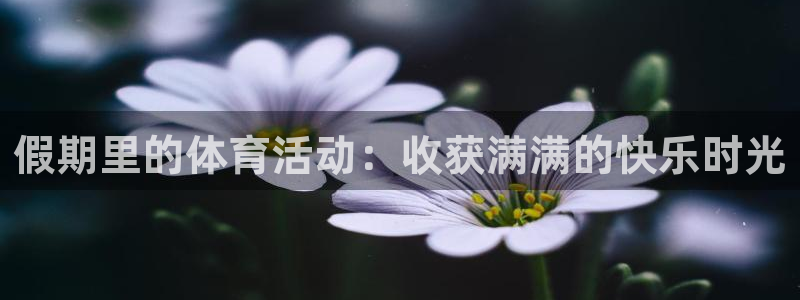 哈希娱乐4代理：假期里的体育活动：收获满满的快乐时光