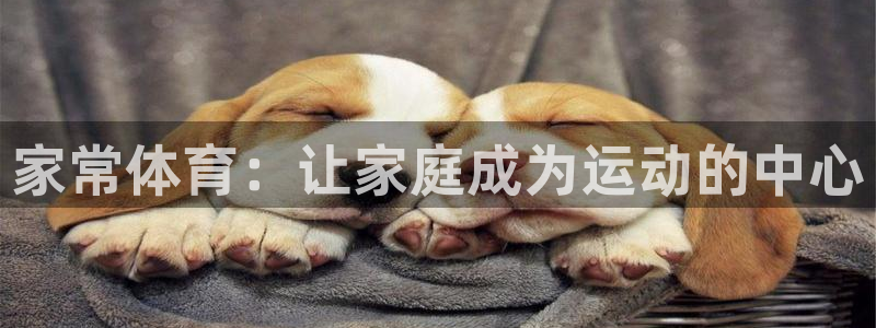 哈希娱乐体育凯捷平台招商：家常体育：让家庭成为运动的中心