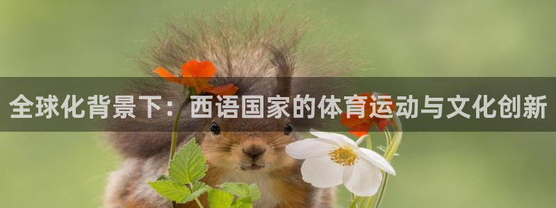 哈希娱乐集团：全球化背景下：西语国家的体育运动与文化创新