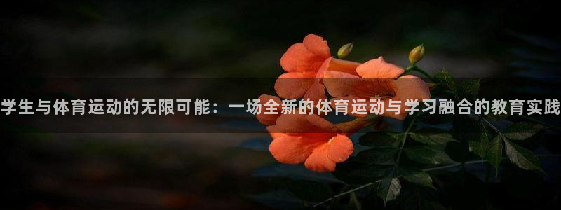 成都哈希娱乐电子有限公司：学生与体育运动的无限可能：一场全新的体育运动与学习融合的教育实践