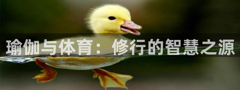 哈希娱乐体育3：瑜伽与体育：修行的智慧之源
