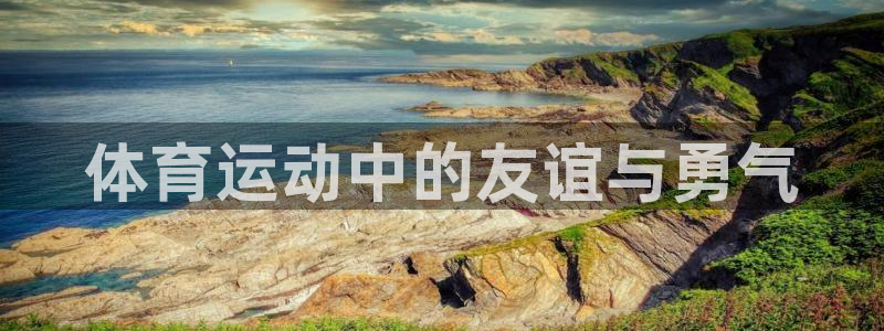 北京意昂科技有限公司：体育运动中的友谊与勇气