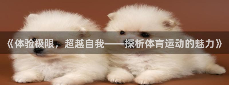 东莞市意昂电子科技有限公司：《体验极限，超越自我——探析体育运动的魅力》