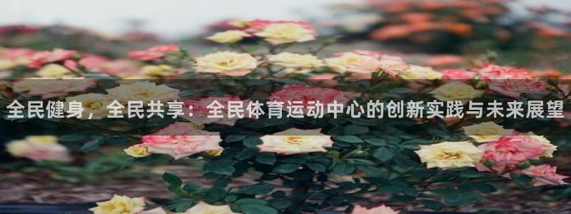 哈希娱乐2代理注册：全民健身，全民共享：全民体育运动中心的创新实践与未来展望