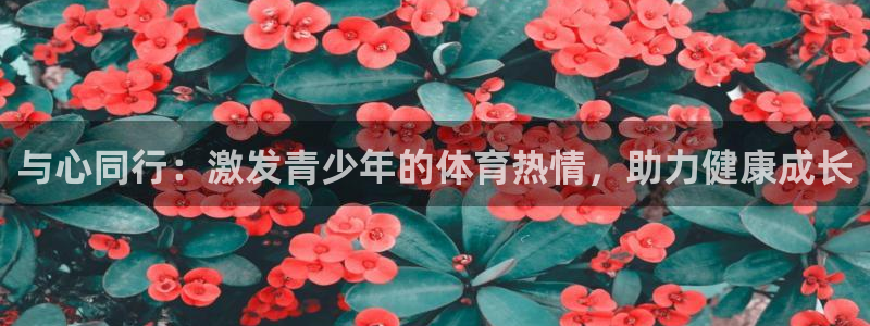 哈希娱乐体育平台注册：与心同行：激发青少年的体育热情，助力健康成长