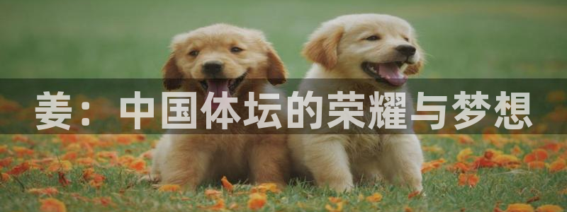 佛山市南海意昂机电仪器有限公司：姜：中国体坛的荣耀与梦想